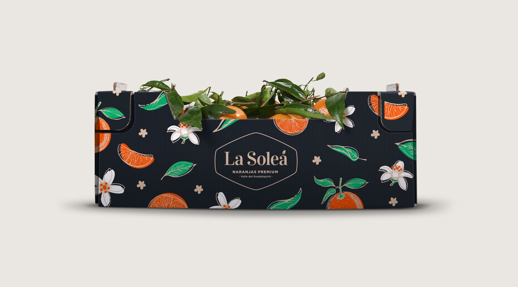Cardboard box of oranges La Soleá
